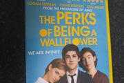 The Perks of Being a Walfi Ower DVD