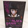 The Morganville Vampires series by Rachel Caine Image 10