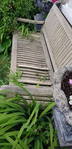 Garden Bench