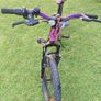 Kids Bike Image 6