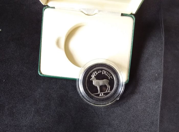 Official Irish Cupro-Nickel Proof, One Pound Coin - Boxed with Certificate