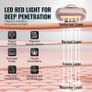 Red Light Therapy Wand Portable LED Beauty Device for Face, Neck & Eyes Image 2
