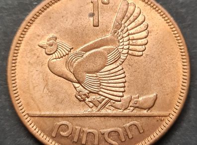 Fantastic 1966 Ireland 1d Peny Unc Coin