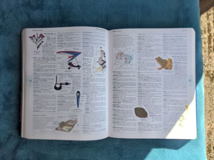 Illustrated Oxford Dictionary