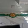 WBC World Championship Boxing Belt Image 4