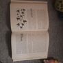the big book of why Image 4