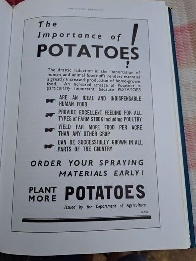 Ireland during the Second World War