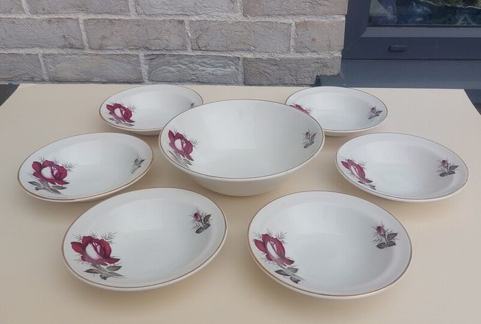 Beautiful Set of Six Dessert Bowls plus Matching Large Bowl by Arklow Pottery in the Very Popular and Collectable "Autumn Rose" Pattern