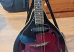 Left Handed Mandolin with broken nut
