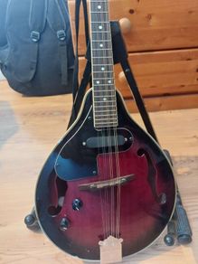 Left Handed Mandolin with broken nut