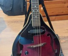 Left Handed Mandolin with broken nut