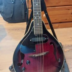 Left Handed Mandolin with broken nut