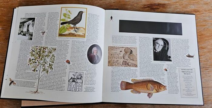 Great Britain 1988 Royal Mail Special Stamps Book