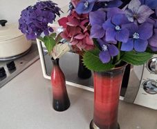 Two Beautiful Louis Mulcahy Vases