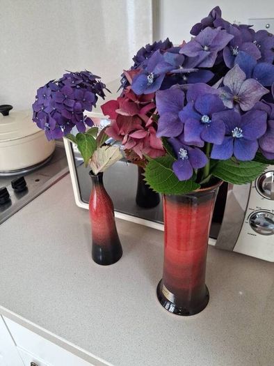 Two Beautiful Louis Mulcahy Vases