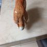 Vintage Beswick Rough  Collie  Dog   Porcelain Figurine Lochinvar Of Lady Park. Made in England. Image 4