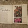 Beautiful Orchids. By Peter Mckenzie Black. First Edition Large Volume Hardback With Dustjacket In Fair Condition. See Photos For Same Image 7
