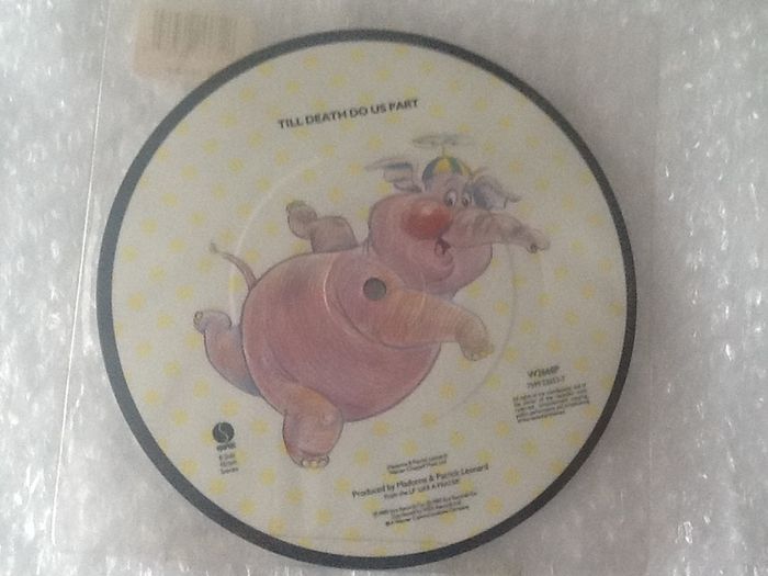 Madonna Dear Jessie Picture Disc