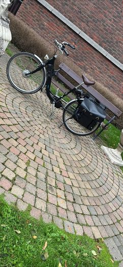 Electrical Bike Momentum T Model