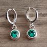 Crystal Earrings Image 2