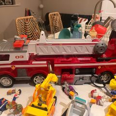 paw patrol bundle
