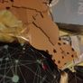 kids party pack Image 9