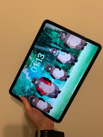 Ipad pro