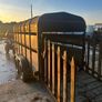 Cattle trailer Image 4