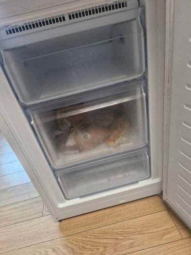 bosch fridge freezer