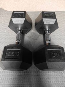 12.5KG Dumbbells