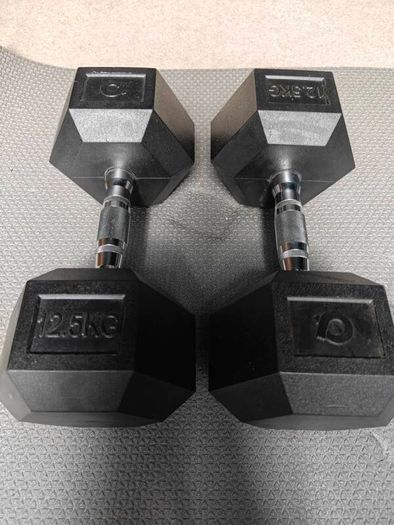 12.5KG Dumbbells