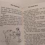 The Jungle Book, Rudyard Kipling Classic Story Image 8