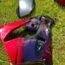 98-99 Kawasaki zx9r original fairings Image 3