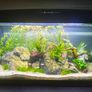 Ciano 76 litre tank Image 5