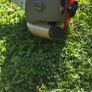 Strimmer Image 7
