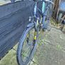 Apollo Evade Mountain Bike Image 3