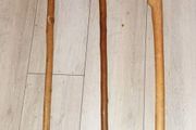 3 walking sticks