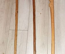 3 walking sticks