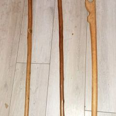 3 walking sticks