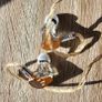 Basn bmaster x multijack iem Image 2