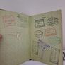 Rare 1948 Irish Passport & Travel card Image 5