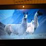 Dell Letitude E5250 Image 2