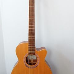 Lag Spring Acoustic. 4 Seasons. Model 100BCE