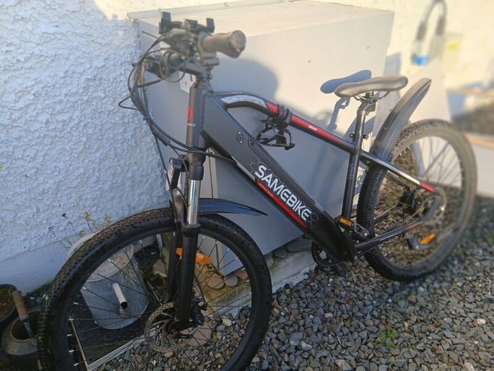 Electric bike