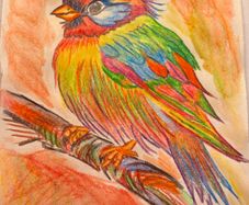 watercolour pencils painting (A5) - Bird