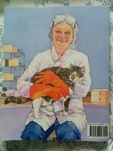 Smart soapmaking by Anne L Watson