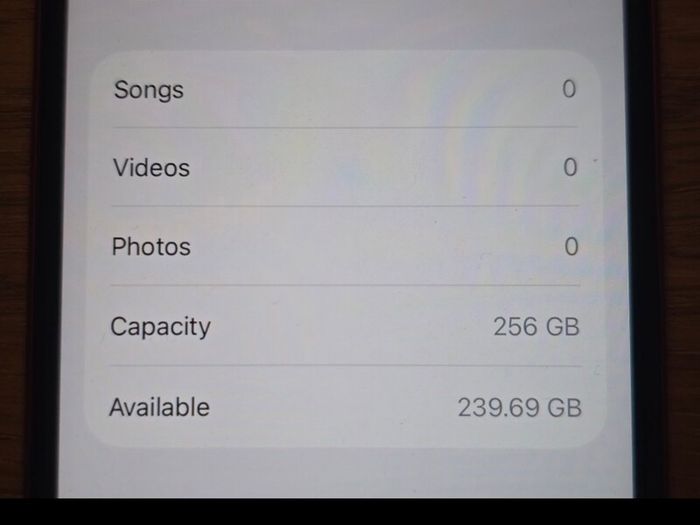 iPhone SE 256gb Unlocked