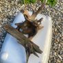 Fish tank wood Image 2