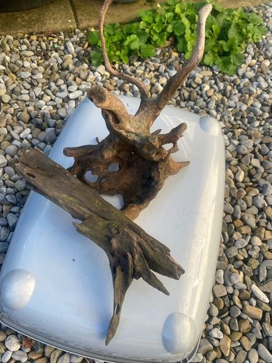 Fish tank wood