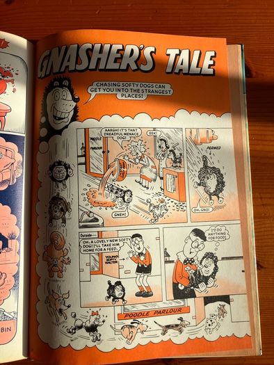 Comic: 'Beano' annual 1984